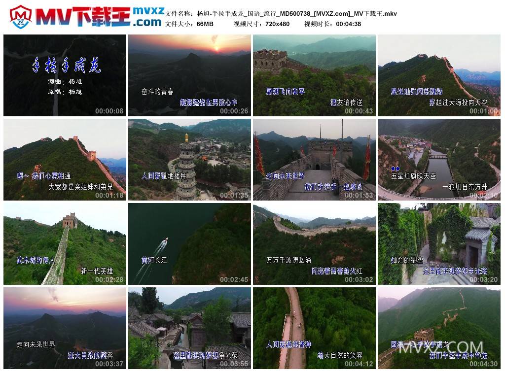 杨旭-手拉手成龙_国语_流行_MD500738